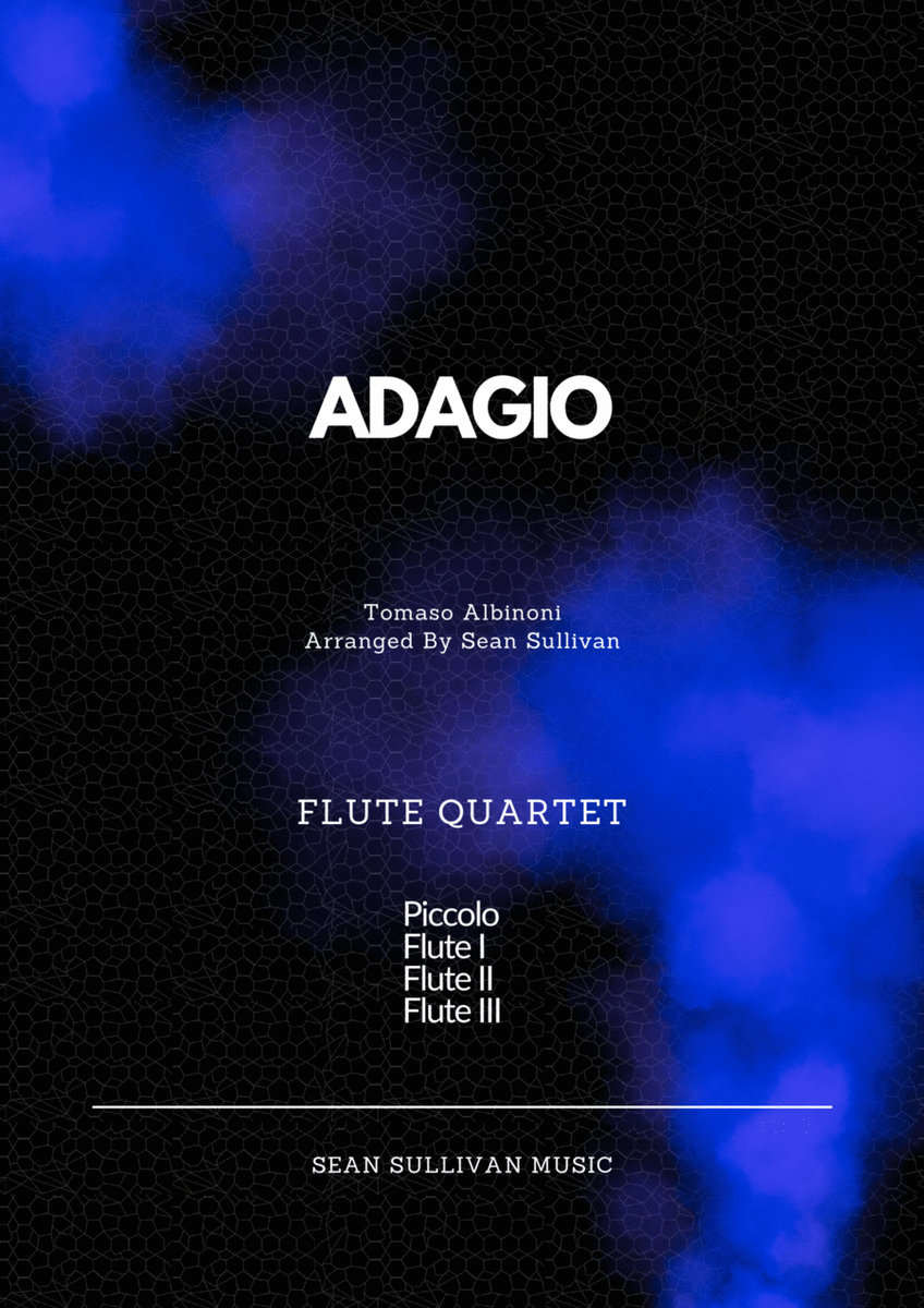 Adagio In G Minor image number null