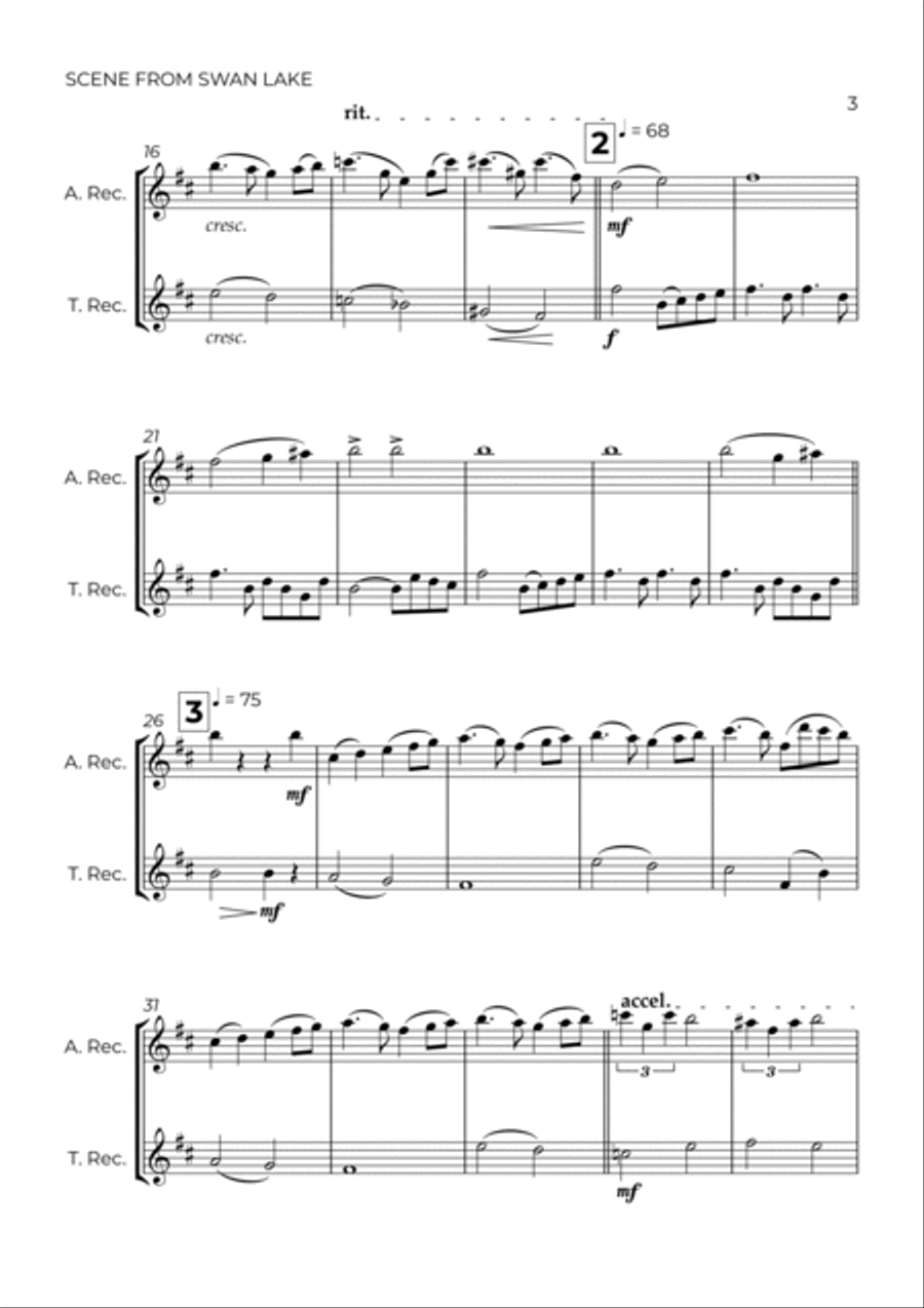 SCENE FROM SWAN LAKE - TCHAIKOVSKY – ALTO & TENOR RECORDER DUO Woodwind Duet scores gallery preview page 3