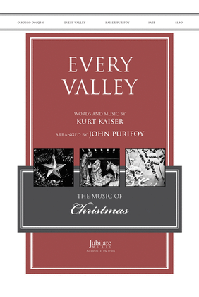 Book cover for Every Valley