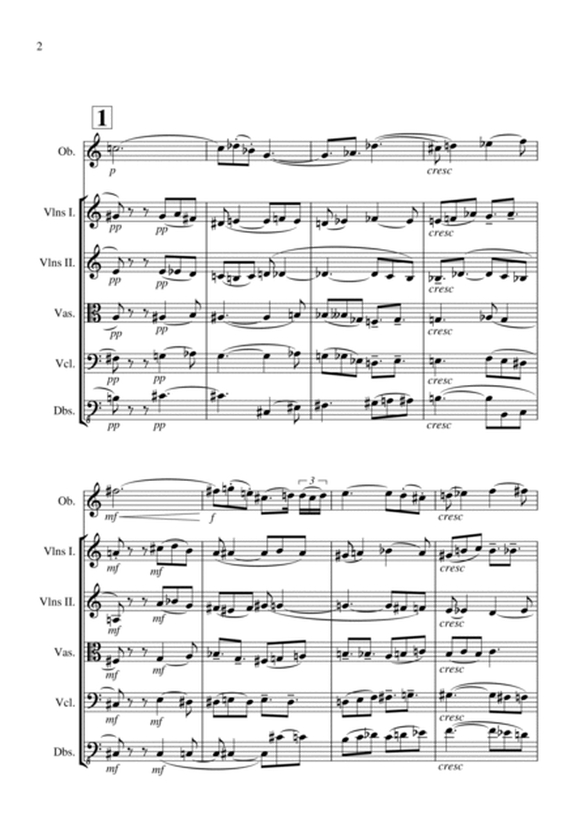 Concertino for Oboe and Strings - by Richard Stanbrook image number null