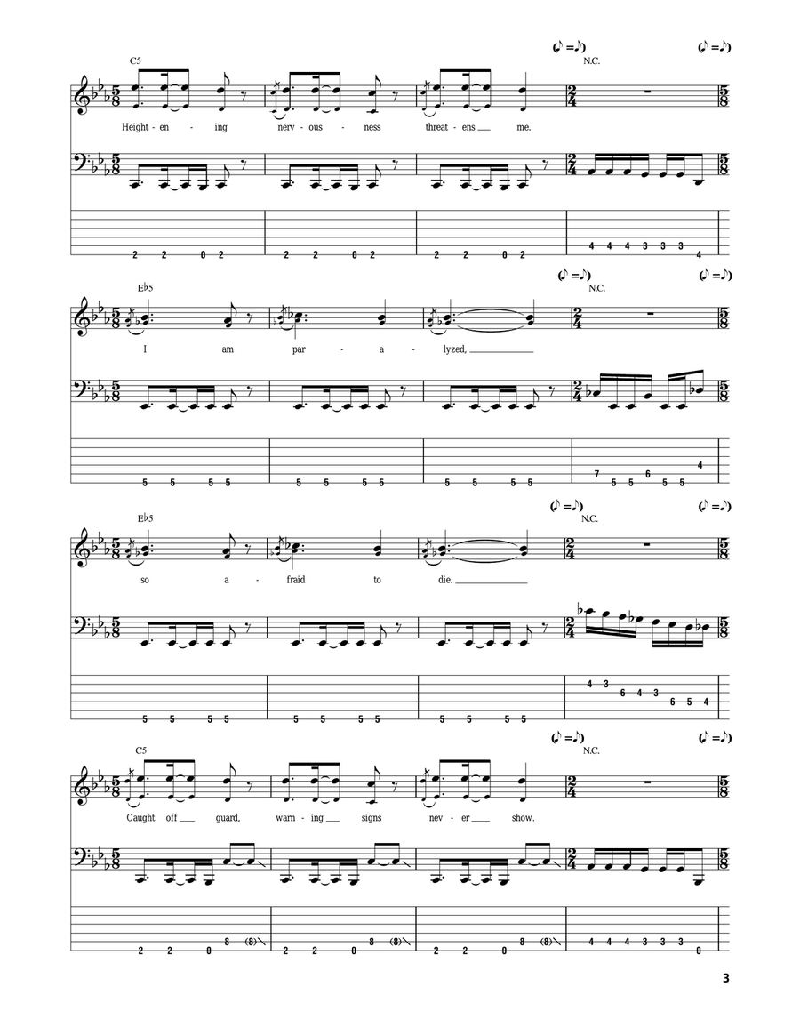 Panic Attack Acoustic Guitar scores gallery preview page 3