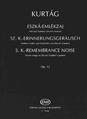 Book cover for Remembrance Noise-vx/vln