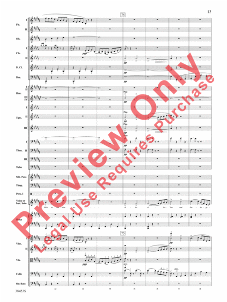 Ging heut Morgen übers Feld Full Orchestra scores gallery preview page 14