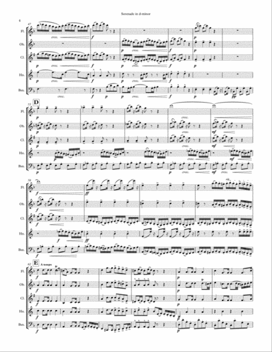 Serenade for Winds, Cello and Bass in d-minor for Winds arranged for Wind Quintet Small Ensemble scores gallery preview page 4