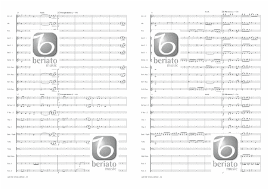 Arctic Challenge Concert Band scores gallery preview page 14