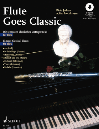 Book cover for Flute goes Classic