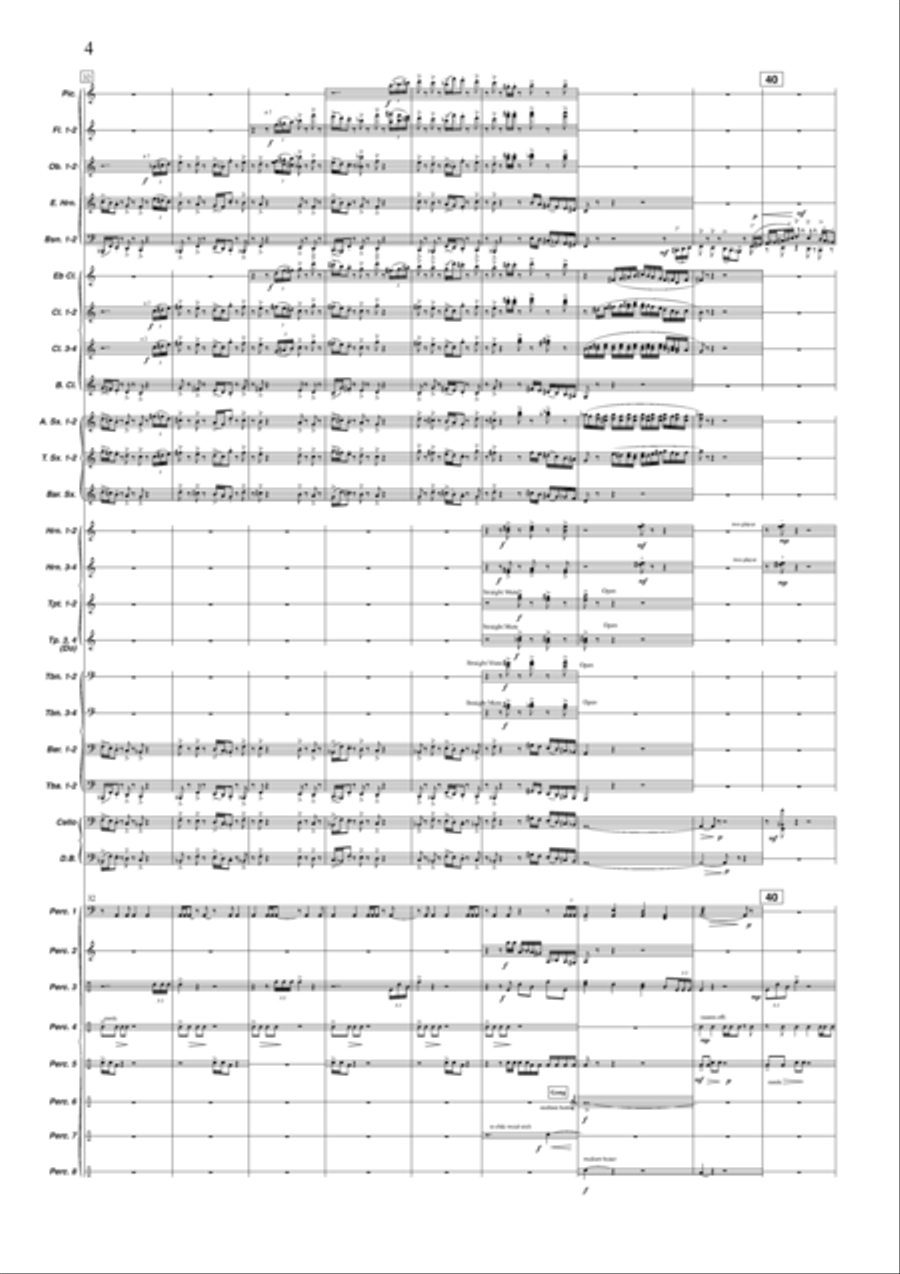 Sinfonia de Plata Concert Band scores gallery preview page 5