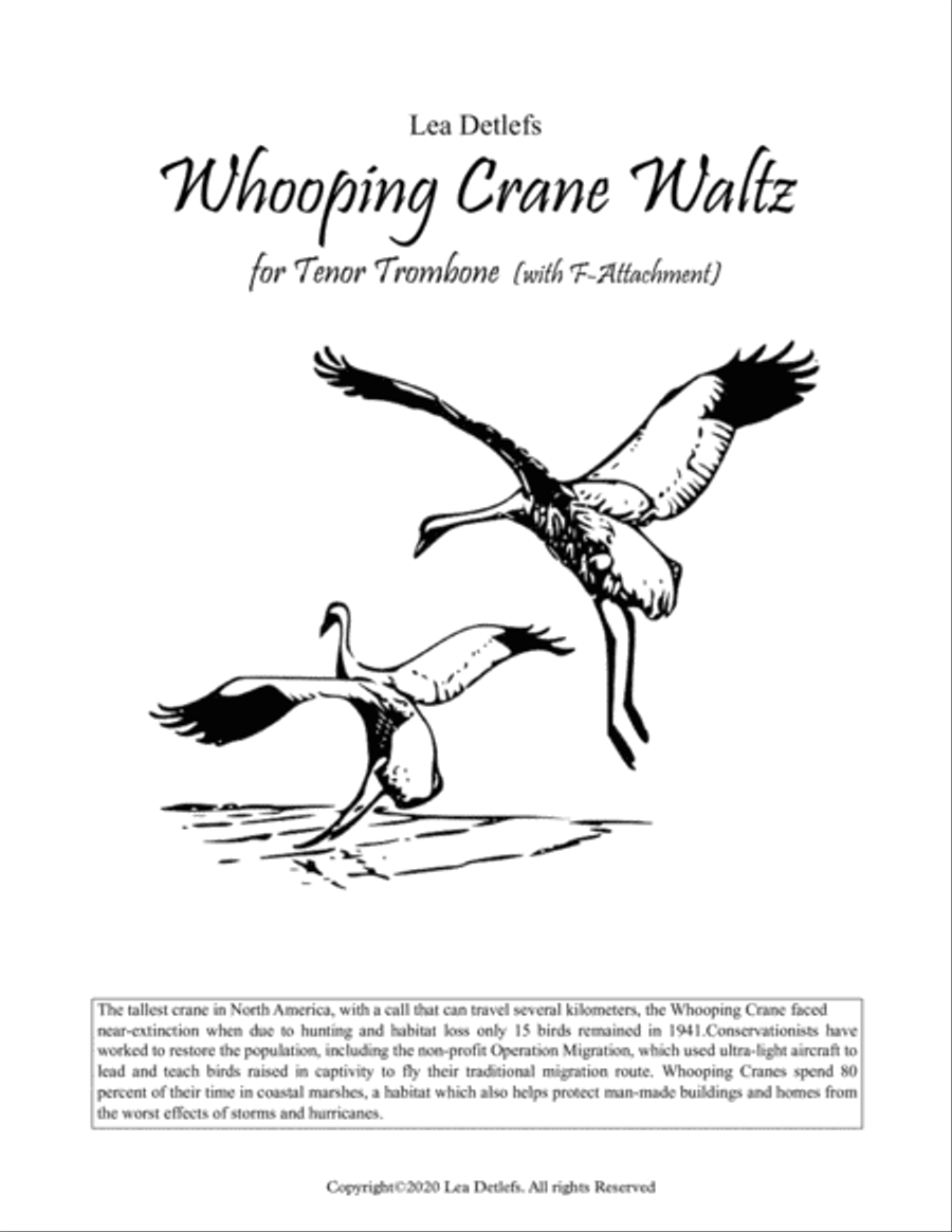 Whooping Crane Waltz (for Trombone with F attachment) Trombone Solo scores gallery preview page 1