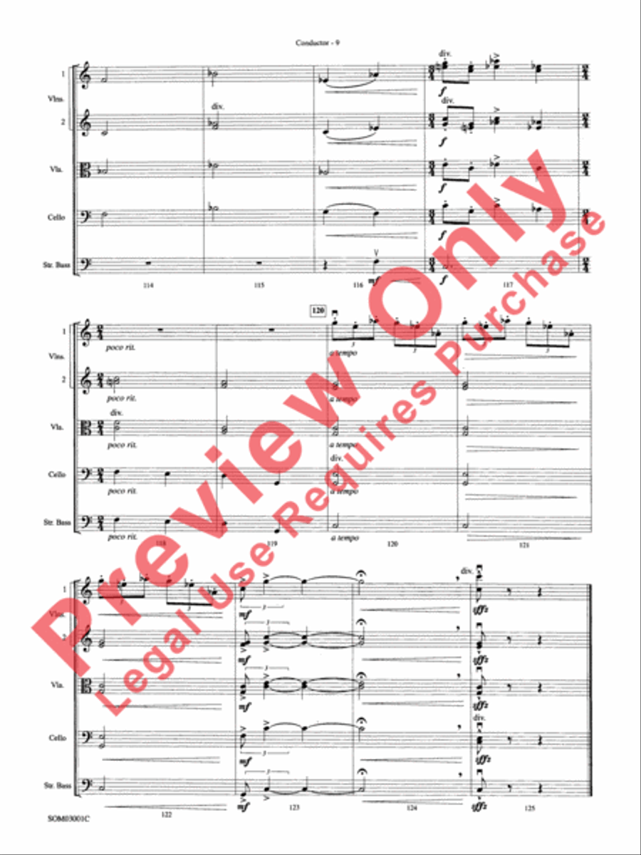 Harry's Wondrous World (from Harry Potter and the Chamber of Secrets) String Orchestra scores gallery preview page 12