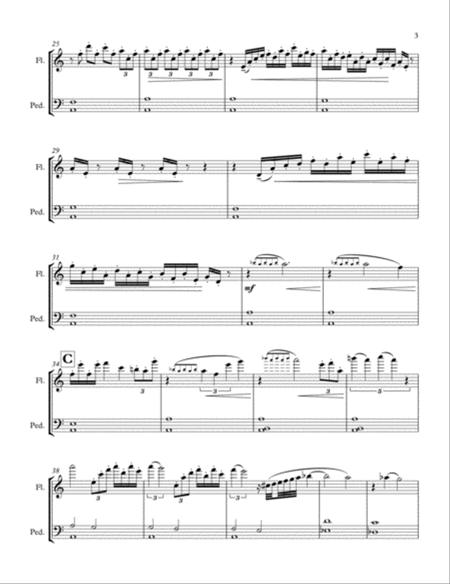 Prelude for Flute and (organ) Pedals or any bass instrument Woodwind Duet scores gallery preview page 3