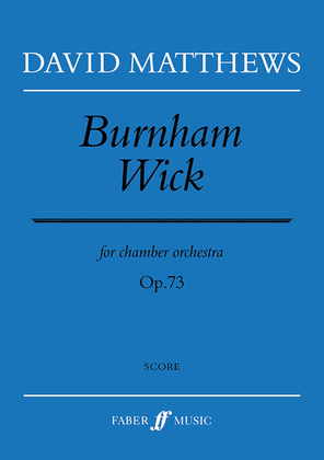 Book cover for Burnham Wick