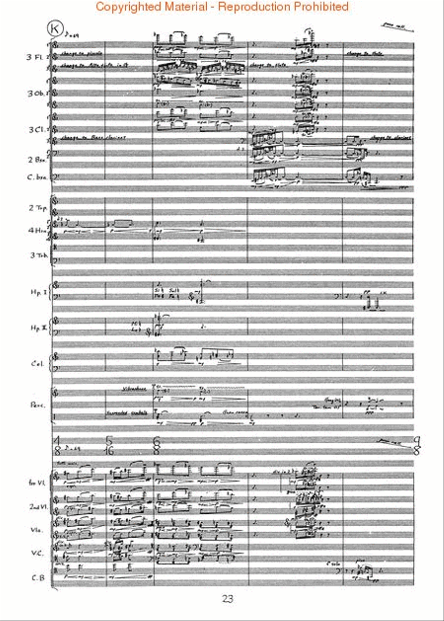 A Flock Descends Into The Pentagonal Garden Orchestra scores gallery preview page 4