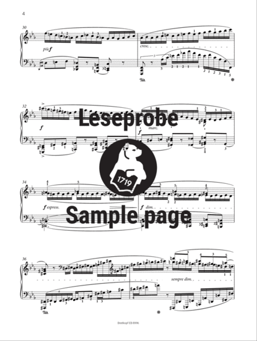 Sonata in C minor for Piano Op. 25 Piano Solo scores gallery preview page 5
