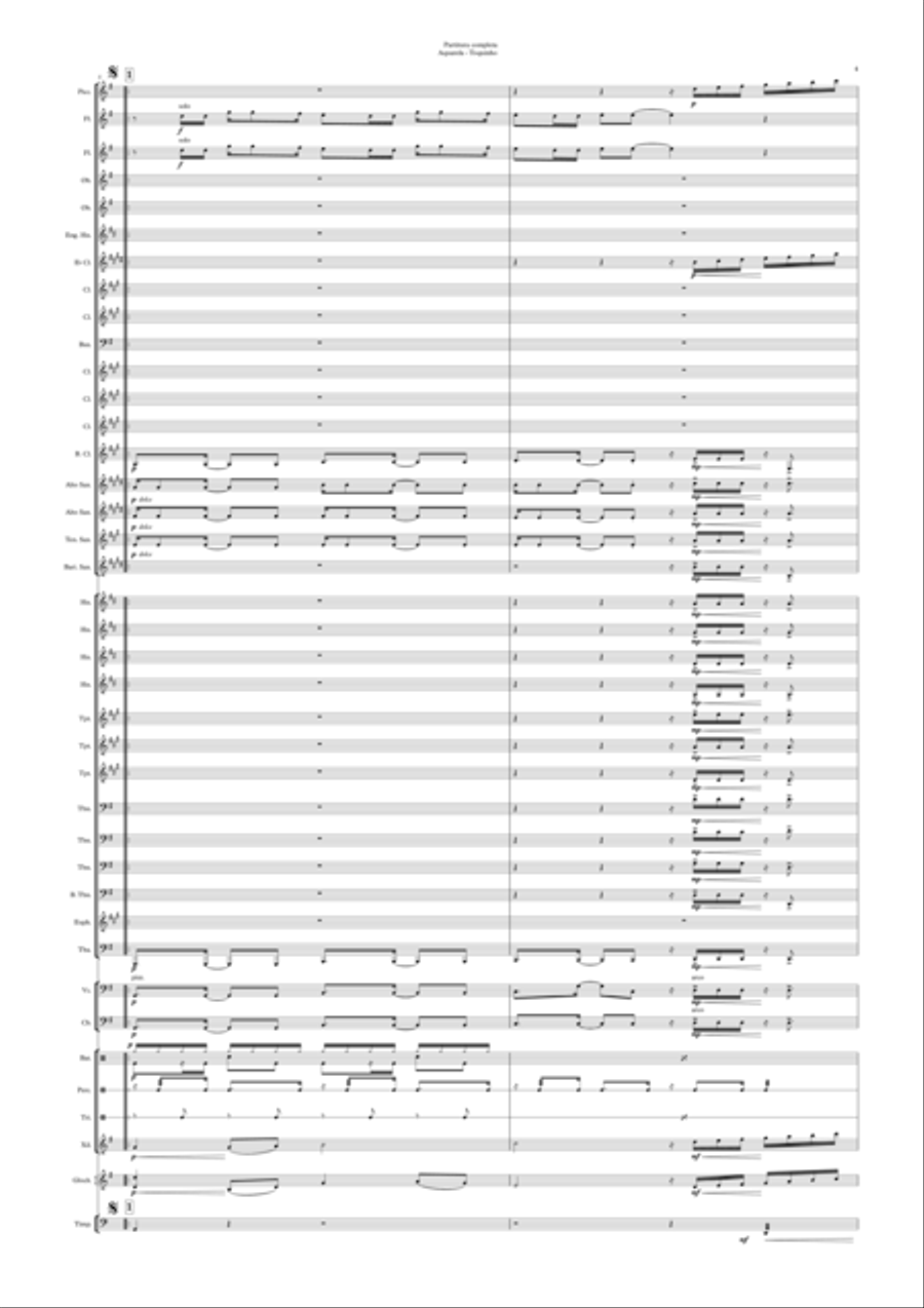 Aquarela-toquinho Concert Band scores gallery preview page 5