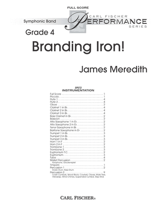 Book cover for Branding Iron!