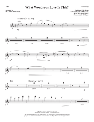 Book cover for What Wondrous Love Is This? (arr. Heather Sorenson) - Flute