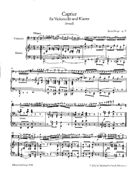 Caprice in D minor Op. 27