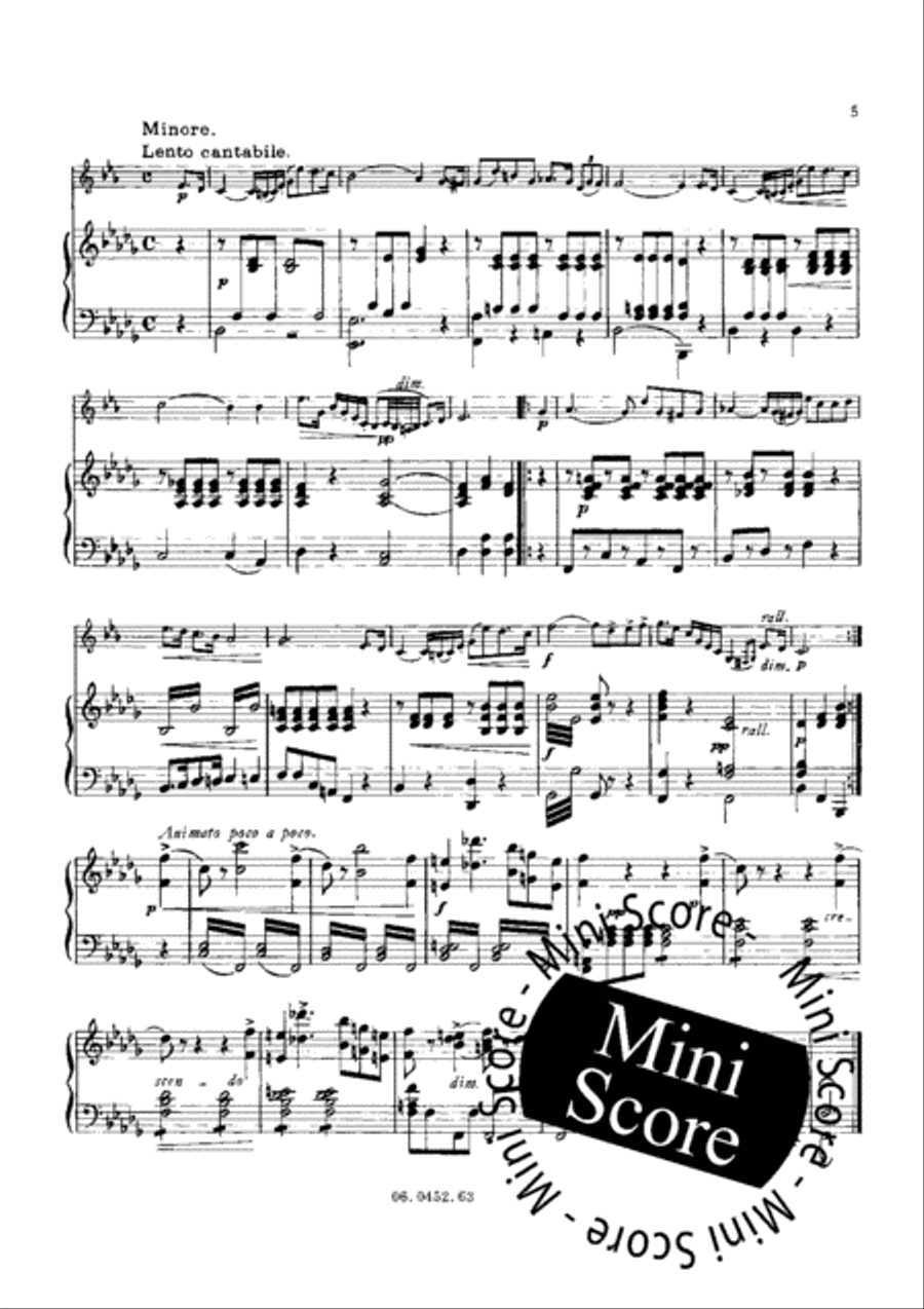 Introduction, Theme and Variations Piano Accompaniment scores gallery preview page 8