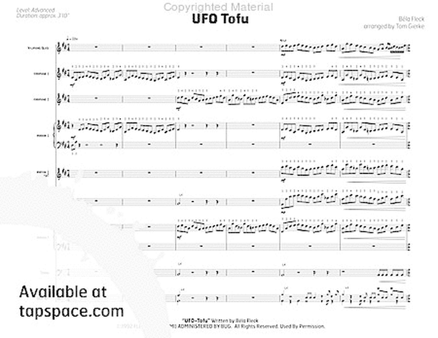 UFO Tofu image number null