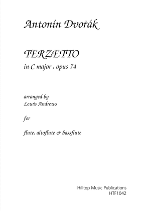 Book cover for Dvorak Terzetto in C major op. 74