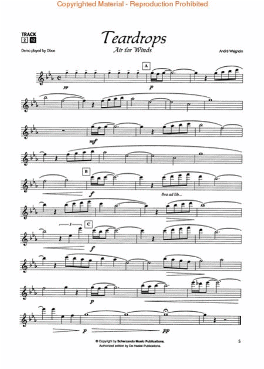 Flute & Romance Flute Solo scores gallery preview page 2