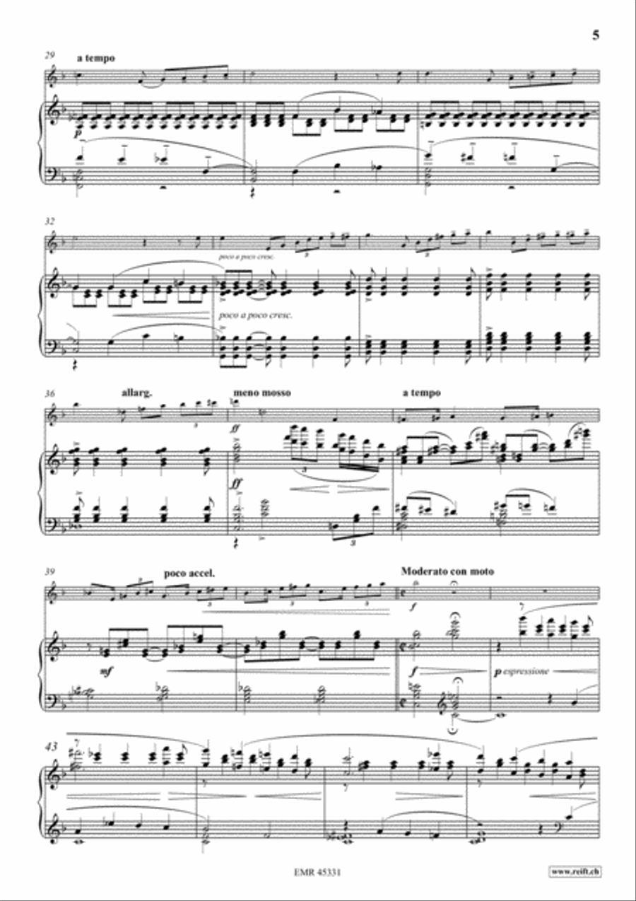 Konzert No. 2 Flute Solo scores gallery preview page 6