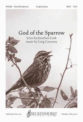 Book cover for God of the Sparrow