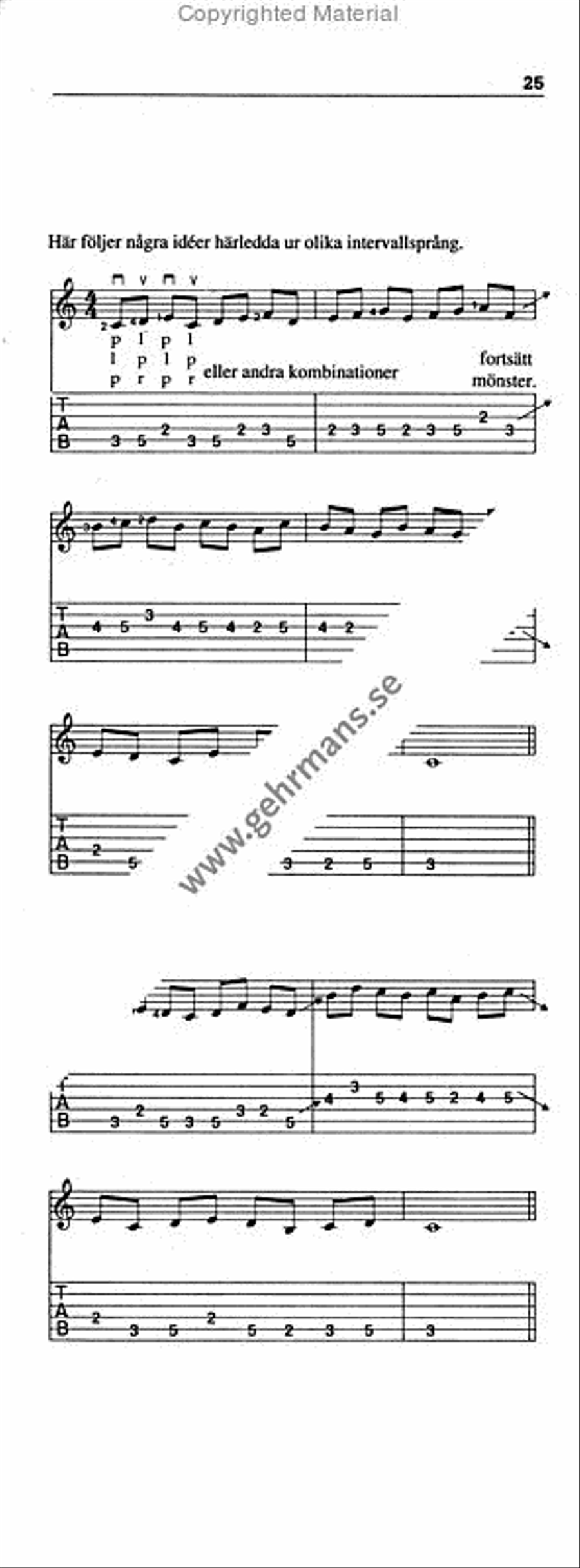 Skalboken for gitarrfodralet Guitar scores gallery preview page 9