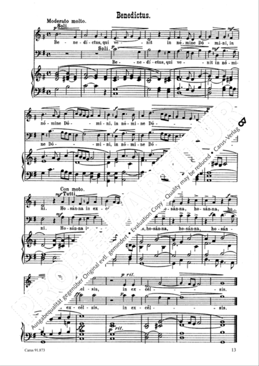 Missa in honorem S. Gregorii Choir scores gallery preview page 14