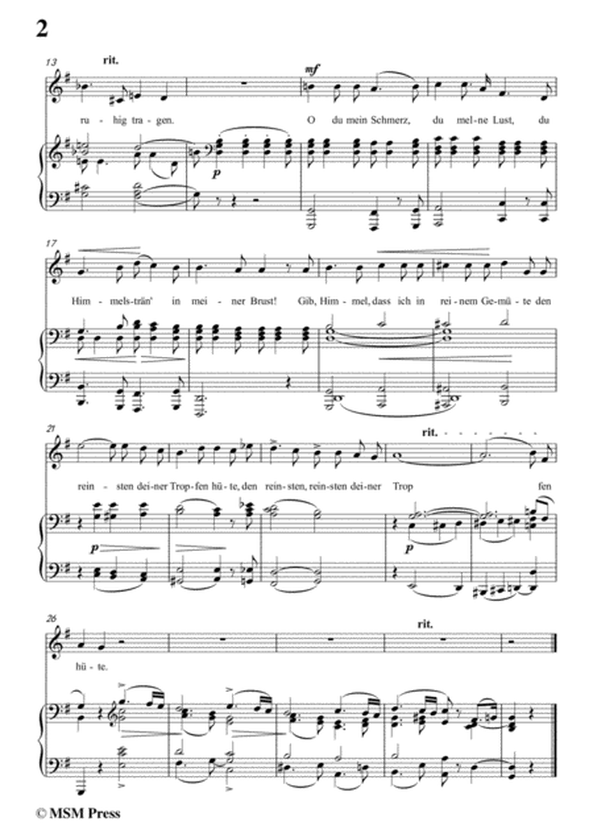 Schumann-Der Himmel hat eine träne geweint,in G Major,for Voice and Piano image number null