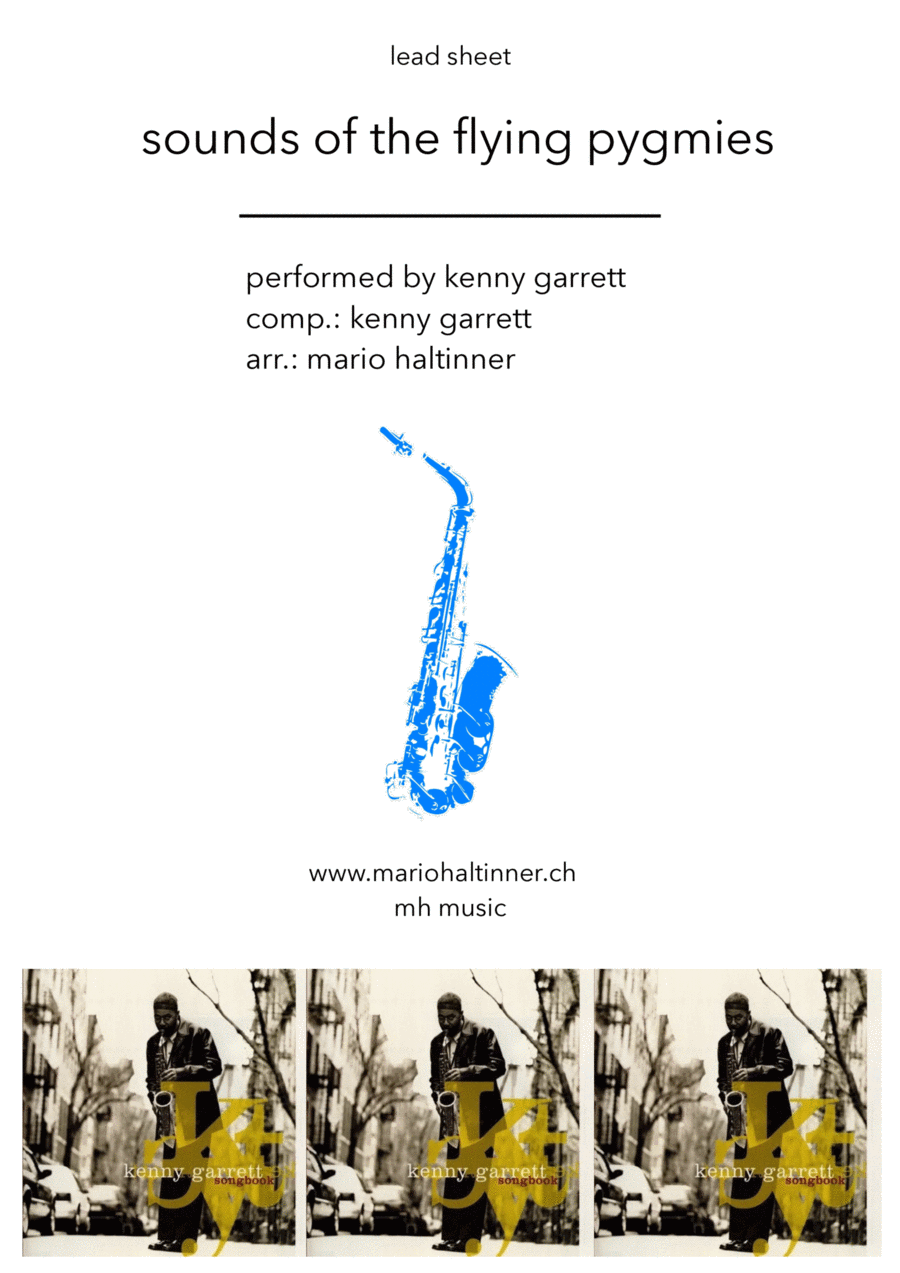 Sounds Of The Flying Pygmies Piano scores gallery preview page 1