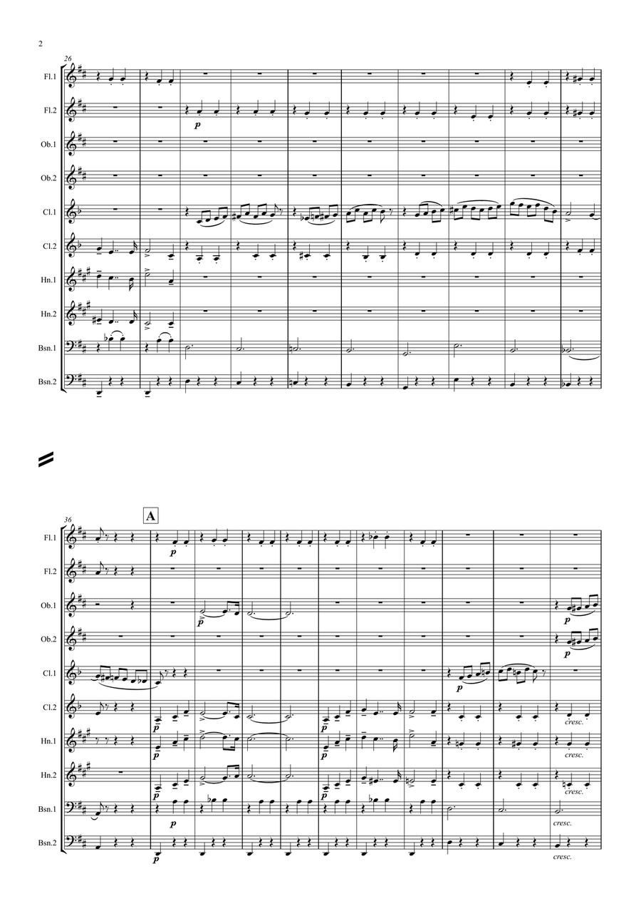 Tchaikovsky: Casse-Noisette (Nutcracker Suite)III.Valse des Fleurs ( Dance of Flowers) - wind dectet Woodwind Quintet scores gallery preview page 2