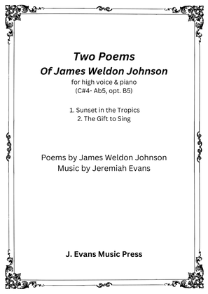 Book cover for Two Poems of James Weldon Johnson