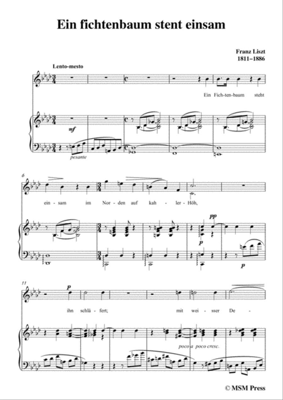 Liszt-Ein fichtenbaum stent einsam in f minor,for Voice and Piano Voice Solo scores gallery preview page 3