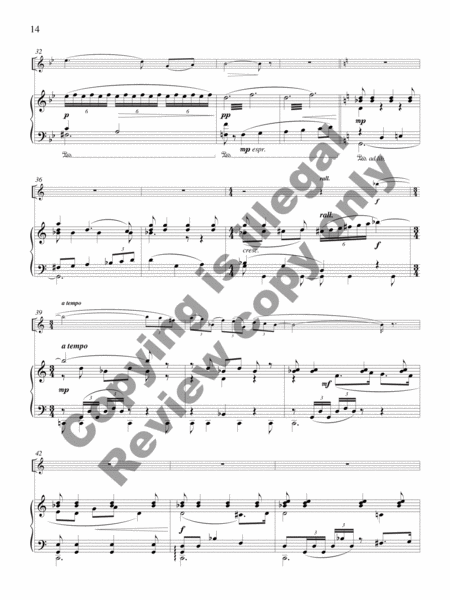 Concerto for Piccolo Solo and Chamber Orchestra (Piano/Piccolo Score & Part)