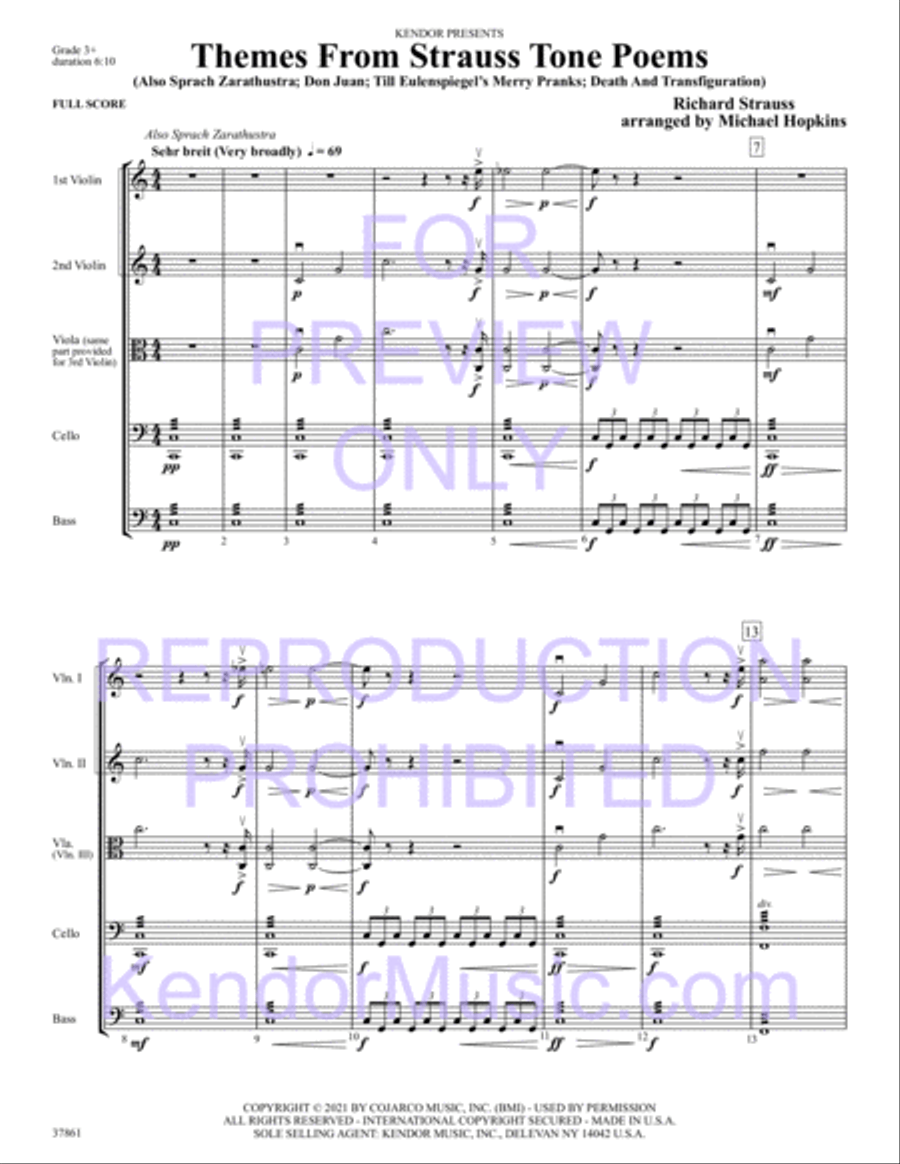 Themes From Strauss Tone Poems String Orchestra scores gallery preview page 3