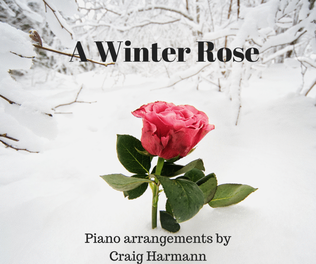 Book cover for A Winter Rose