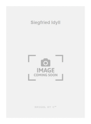 Book cover for Siegfried Idyll