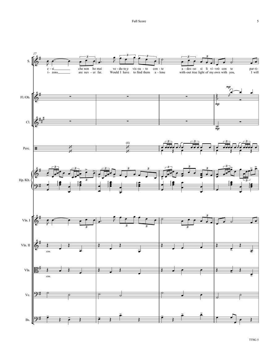 Time To Say Goodbye Chamber Orchestra scores gallery preview page 5