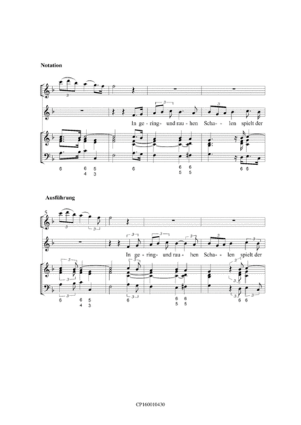 Harmonischer Gottesdienst TWV 1:941 In gering- und rauhen Schalen image number null