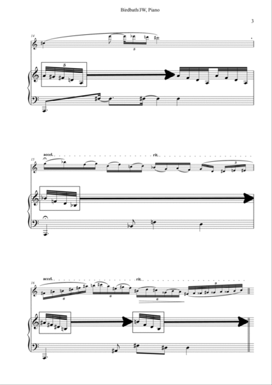 Birdbath Flute Solo scores gallery preview page 5