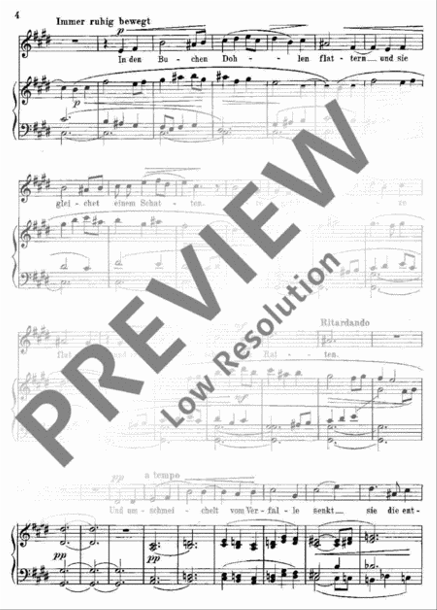 Die junge Magd Flute scores gallery preview page 5