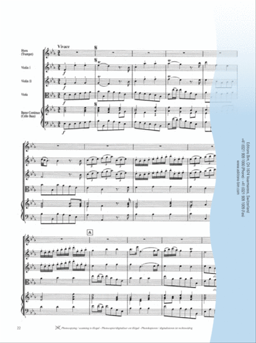 Concerto in Eb Major Concerto in Eb Major String Orchestra scores gallery preview page 10