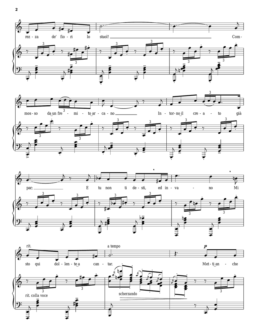 Mattinata Piano, Vocal, Guitar scores gallery preview page 2