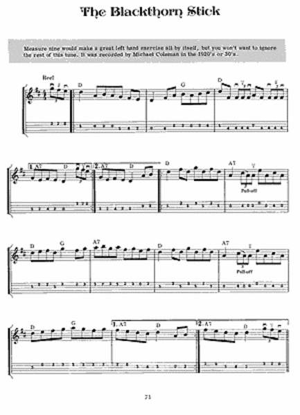 Fiddle Tunes & Irish Music for Mandolin image number null