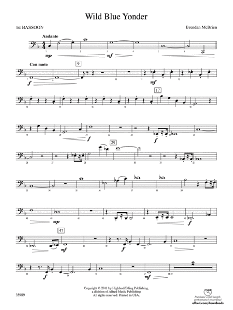 Wild Blue Yonder: Bassoon Full Orchestra scores gallery preview page 1