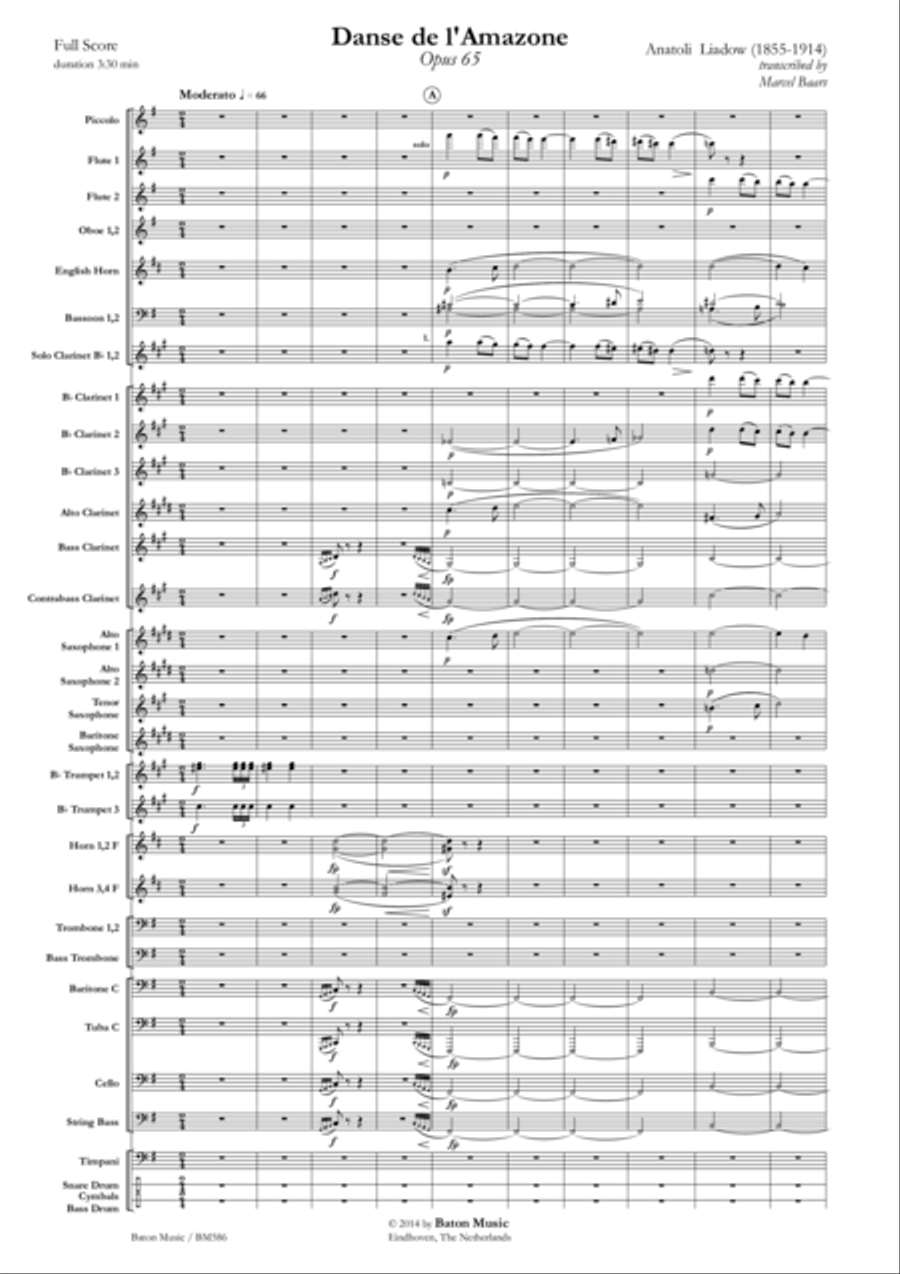 Danse de L'Amazone Concert Band scores gallery preview page 2