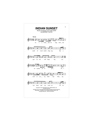 Book cover for Indian Sunset