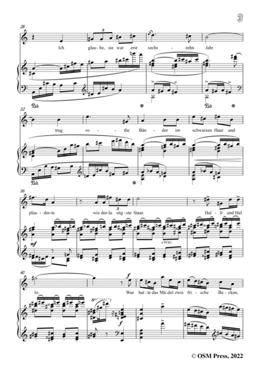 Richard Strauss-Bruder Liederlich,in C Major,Op.41 No.4,for Voice and Piano