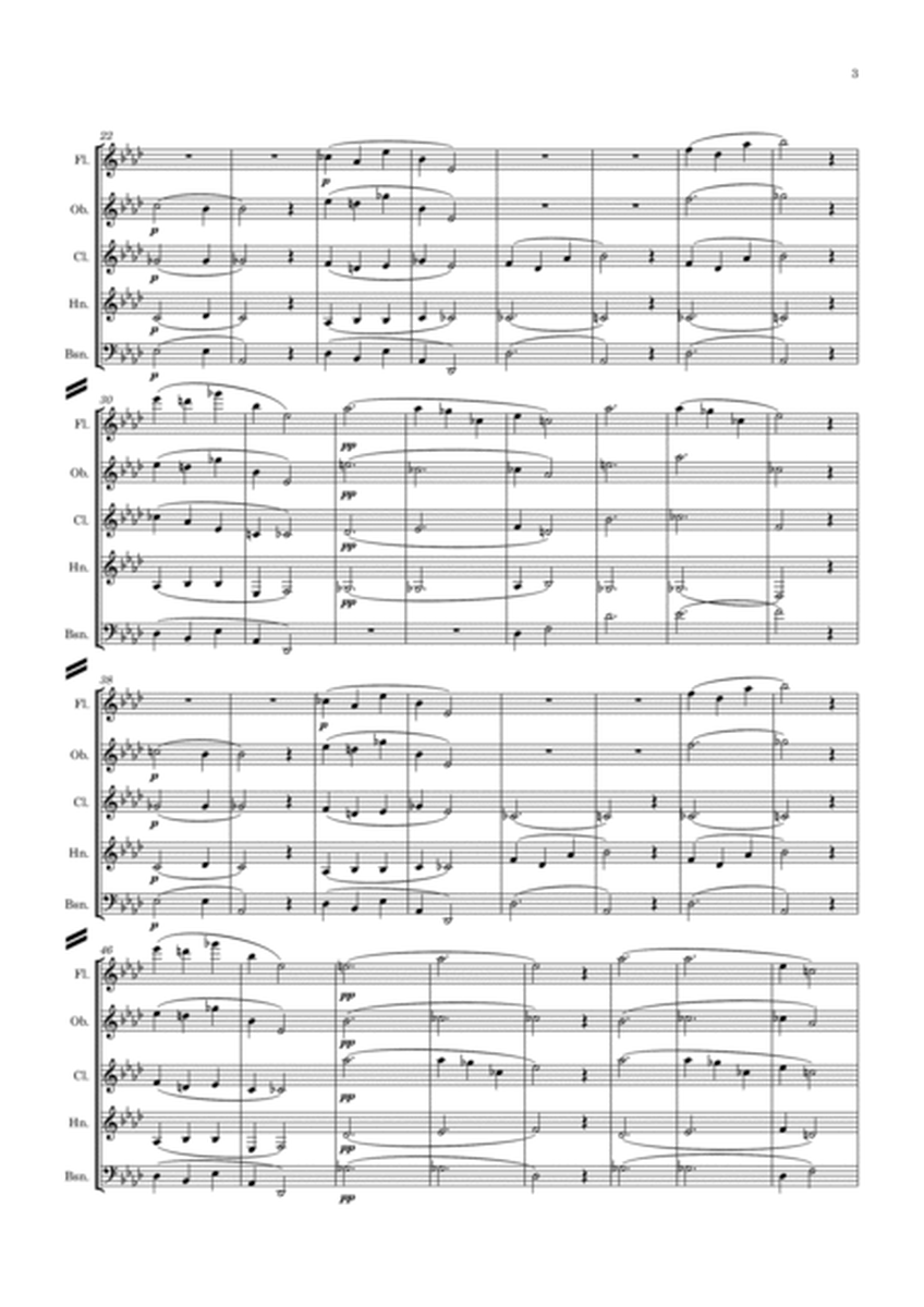 Satie: Sarabande No.1 - wind quintet image number null